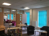 commercial blinds12